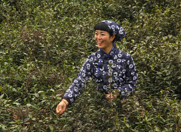 深渊回廊